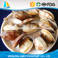 Alta calidad congelados Clam Baby Clam Necked clam proveedores y exportadores en China